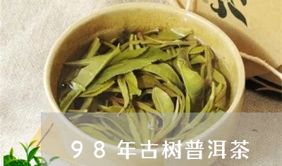 98年古树普洱茶/2023031674037