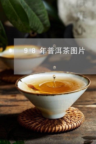 98年普洱茶图片/2023041127169