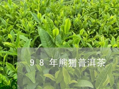 98年熊猫普洱茶/2023041280605