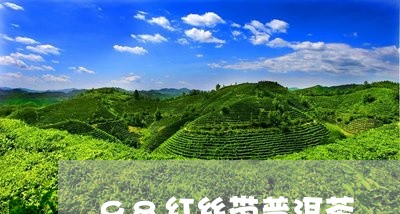 98红丝带普洱茶/2023041036372