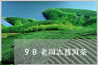 98老同志普洱茶/2023041017169