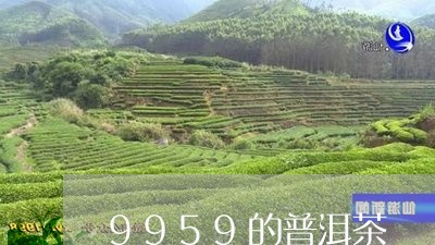 9959的普洱茶/2023041049594