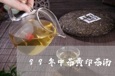 99年中茶黄印茶汤/2023041624947