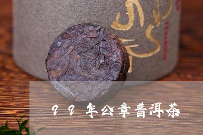 99年公章普洱茶/2023040194046