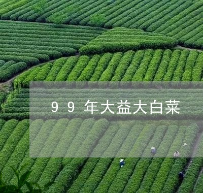 99年大益大白菜/2023032683604