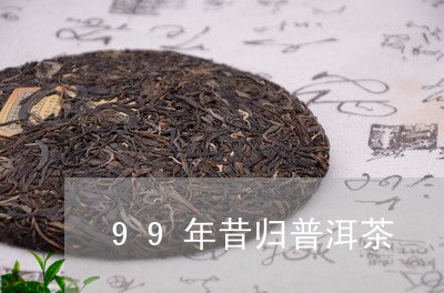 99年昔归普洱茶/2023031785937