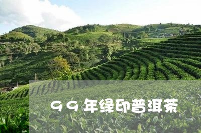 99年绿印普洱茶/2023031664247