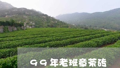 99年老班章茶砖/2023032959373