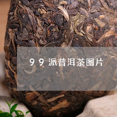 99派普洱茶图片/2023040917373