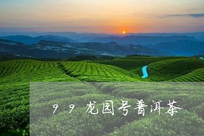 99龙园号普洱茶/2023041069371