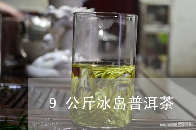 9公斤冰岛普洱茶/2023031730713