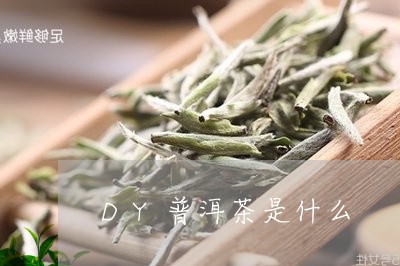 DY普洱茶是什么/2023041044925