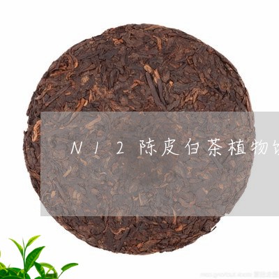 N12陈皮白茶植物饮料吧/2023033003838