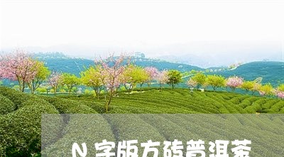 N字版方砖普洱茶/2023041167464