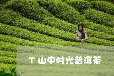 T山中时光普洱茶/2023031705250