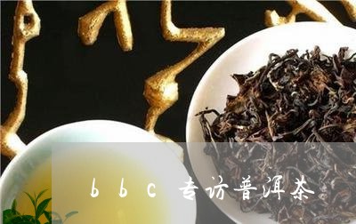 bbc专访普洱茶/2023041089581