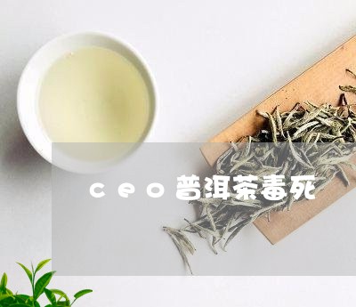 ceo普洱茶毒死/2023041048372