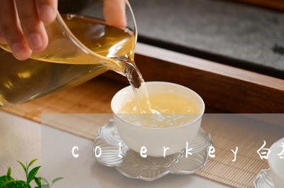 colerkey白茶腮红/2023040150503