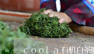 coola有机白茶晒不黑/2023040136270