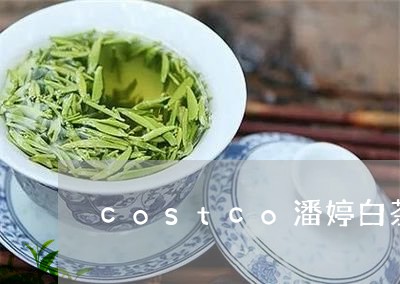 costco潘婷白茶黄瓜/2023040175294