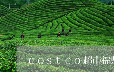 costco超市福鼎白茶/2023040181605