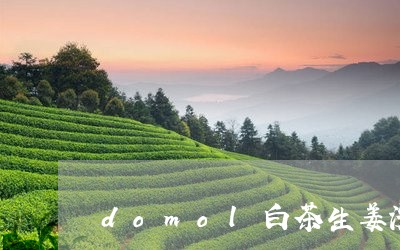 domol白茶生姜洗洁精/2023040162825