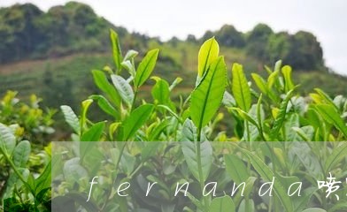 fernanda喷雾白茶/2023040195149