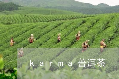 karma普洱茶/2023041226271