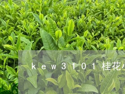 kew3101桂花小白茶/2023033072926