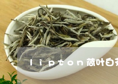 lipton荷叶白茶功效/2023040124161