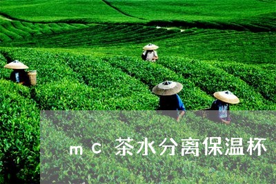 mc茶水分离保温杯/2023031946370