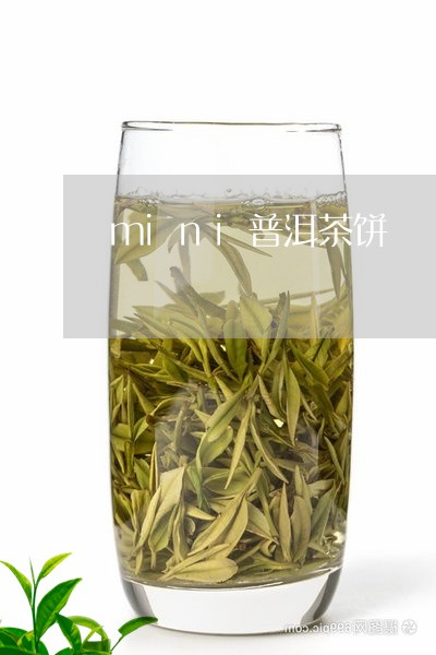 mini普洱茶饼/2023041048369