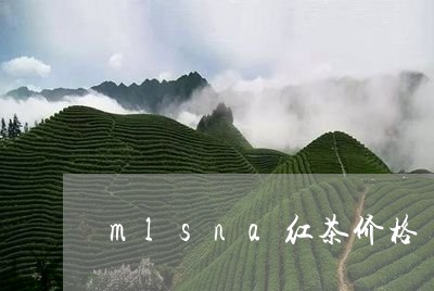 mlsna红茶价格/2023041765260