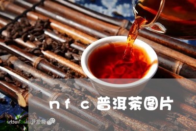 nfc普洱茶图片/2023041004285