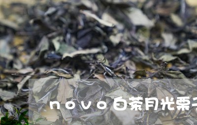 novo白茶月光栗子松露/2023040127471