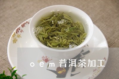 oem普洱茶加工/2023041007192