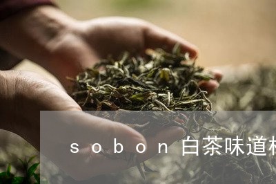 sobon白茶味道柚子茶/2023040160592