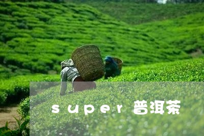 super普洱茶/2023031765038