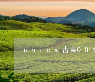 unica古董001白茶/2023033184036