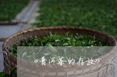 《普洱茶的存放》/2023041152797