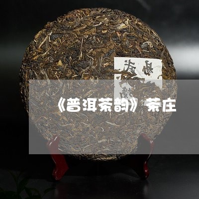 《普洱茶韵》茶庄/2023041004040