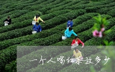 一个人喝红茶放多少/2023041560723