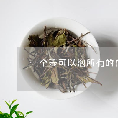 一个壶可以泡所有的白茶吗/2023040105837