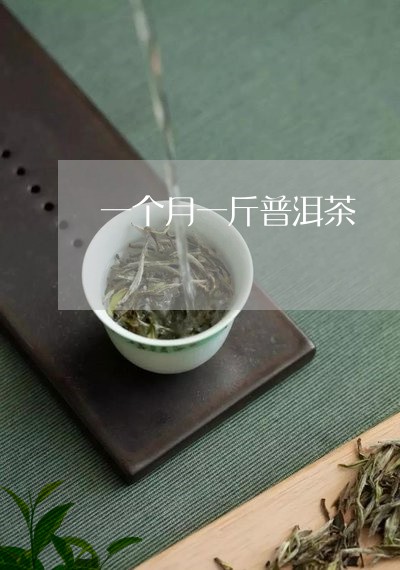 一个月一斤普洱茶/2023032951482