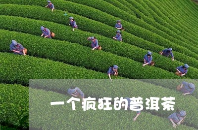 一个疯狂的普洱茶/2023033101615