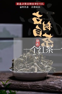 一个红茶一个白茶是什么茶/2023040109592