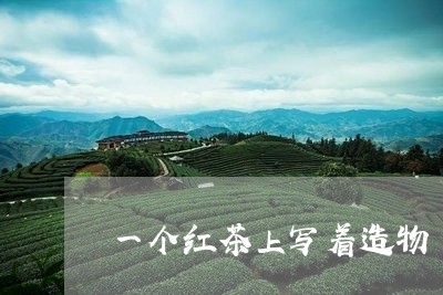 一个红茶上写着造物/2023041452628