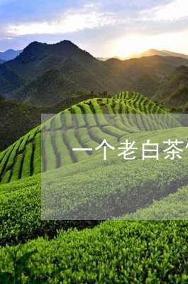 一个老白茶饼一般有多少两/2023040161793