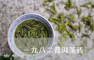 一九八二普洱茶砖/2023032970614