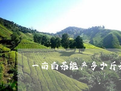 一亩白茶能产多少斤茶青素/2023040165945